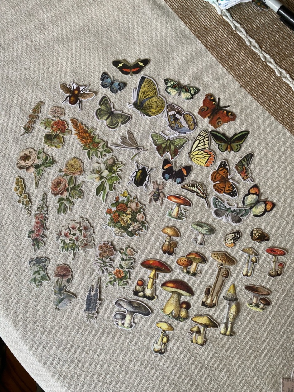 Vintage Botanical Butterfly & Mushroom Card Stock Prints Set - Assorted Colors